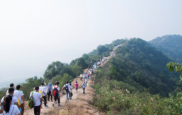 電線(xiàn)電纜生產(chǎn)廠家湘江電纜2015年綠行家活動(dòng)